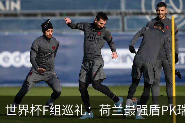 世界杯F组巡礼：荷兰最强盾PK瑞典犀利刀 日本短板明显