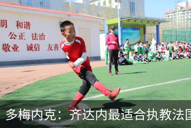 多梅内克：齐达内最适合执教法国，他需先和领袖球员取得联系
