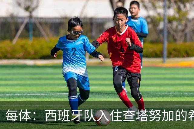 每体：西班牙队入住查塔努加的希尔顿酒店，每晚房费超150欧元